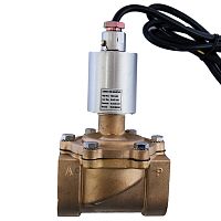 Клапан двойного действия ТРК D40-24V