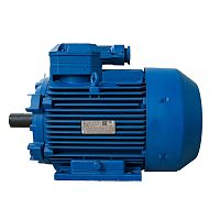 Взрывозащищенный электродвигатель 4ВР 132M8-y2 для Z2000