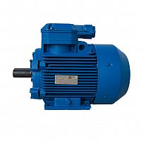 Взрывозащищенный электродвигатель 4ВР 112М4-y2 для NZ